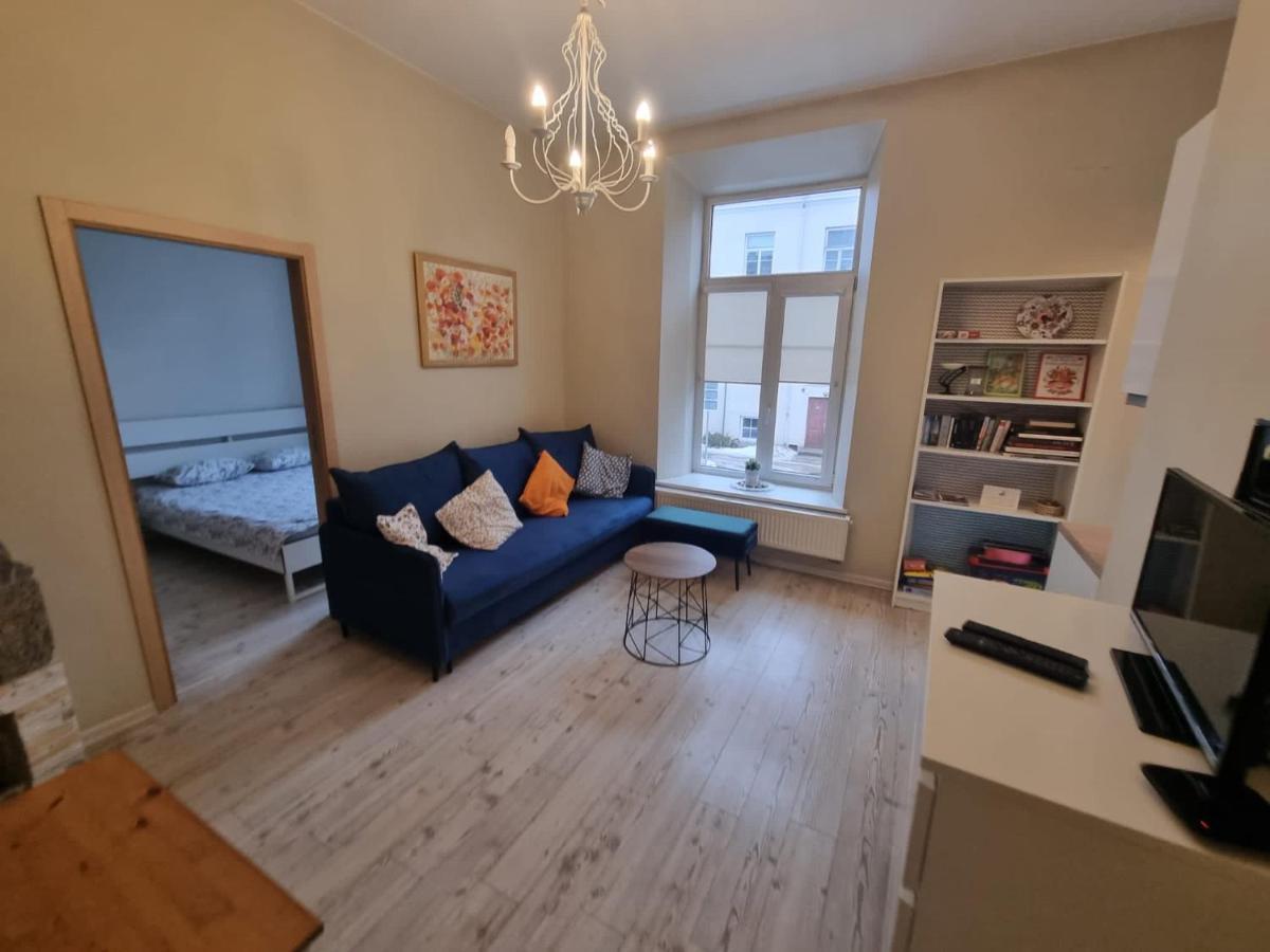 Igo Apartment Uzupis VNO Exteriér fotografie